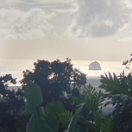 Villa Les Mahoganys Riviere-Salee Exteriér fotografie
