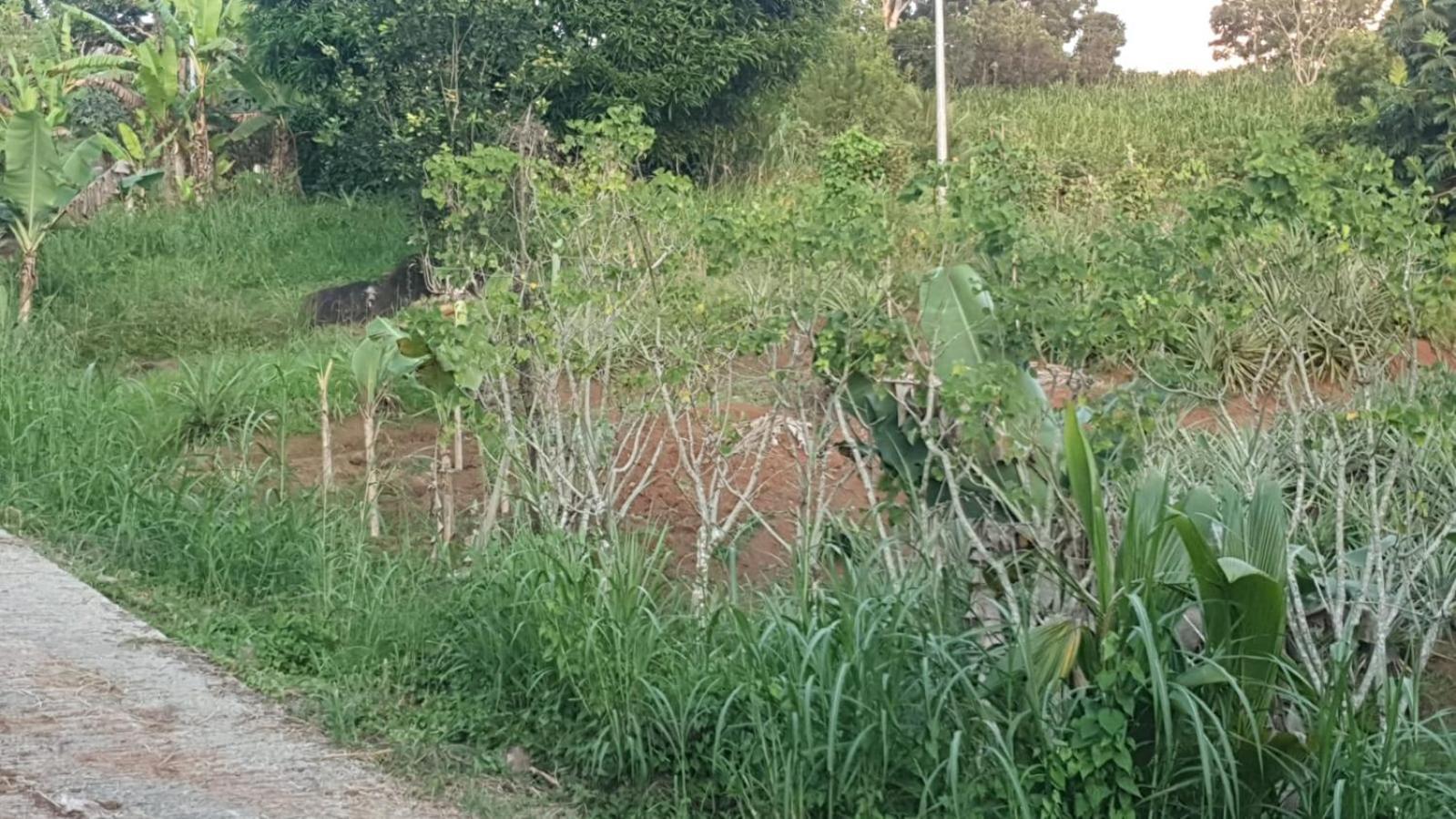 Villa Les Mahoganys Riviere-Salee Exteriér fotografie